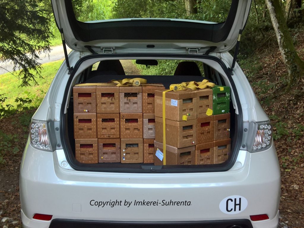 Subaru mit Bienen